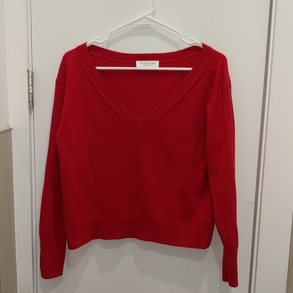 Cashmere Everlane V-neck Sweater Size S